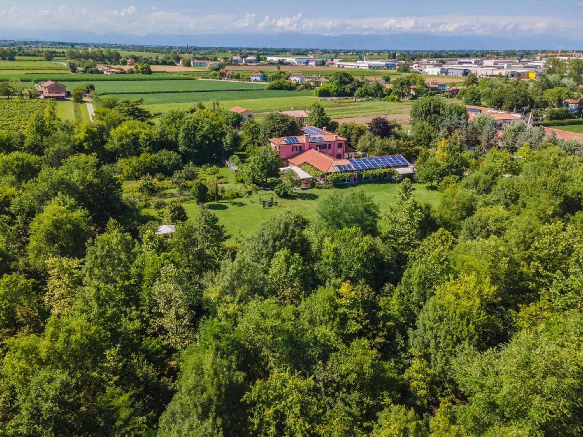 Settecentoalberi Agriturismo Noventa di Piave Bagian luar foto